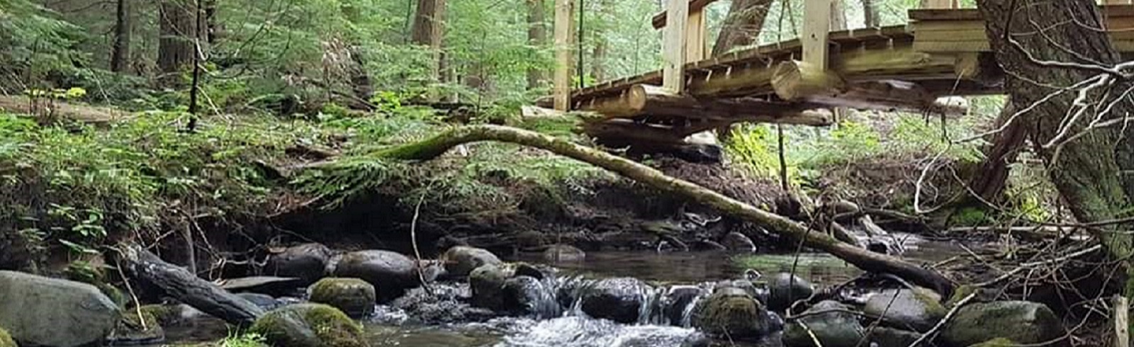 Banner of Millbrook Valley Trails