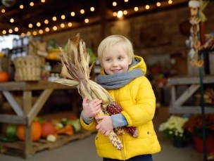 Child holding a corn stock