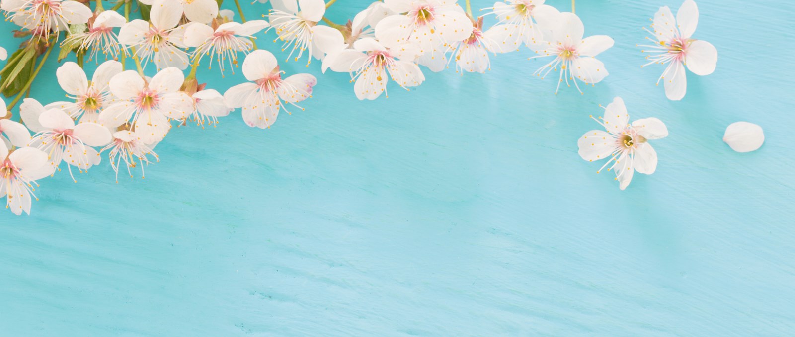 May Background