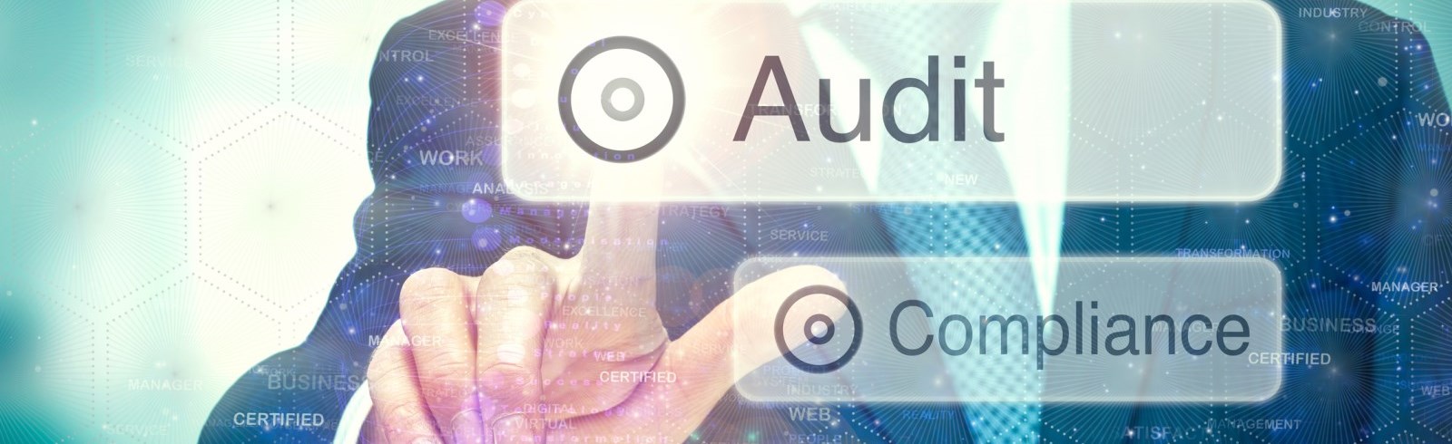 Audit concept on a computer display