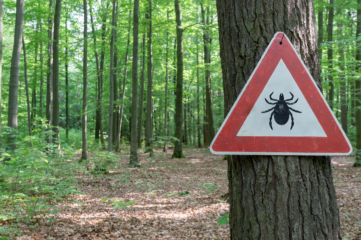Warning Signs for Ticks