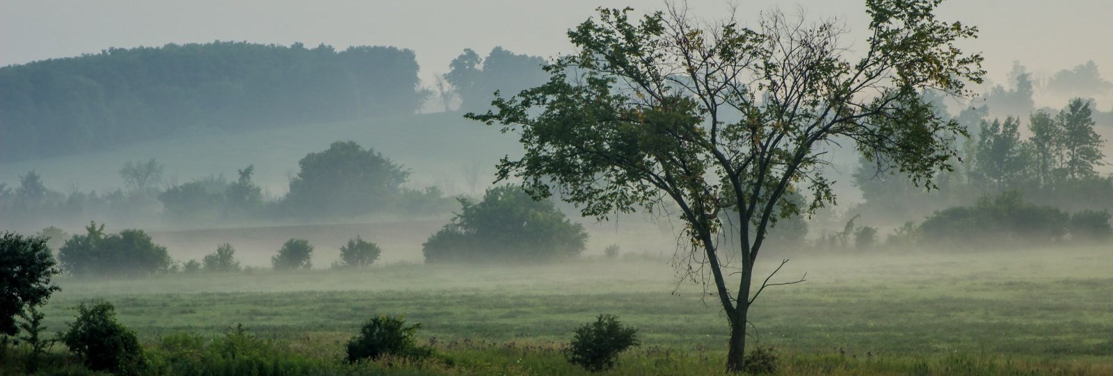 Township Field