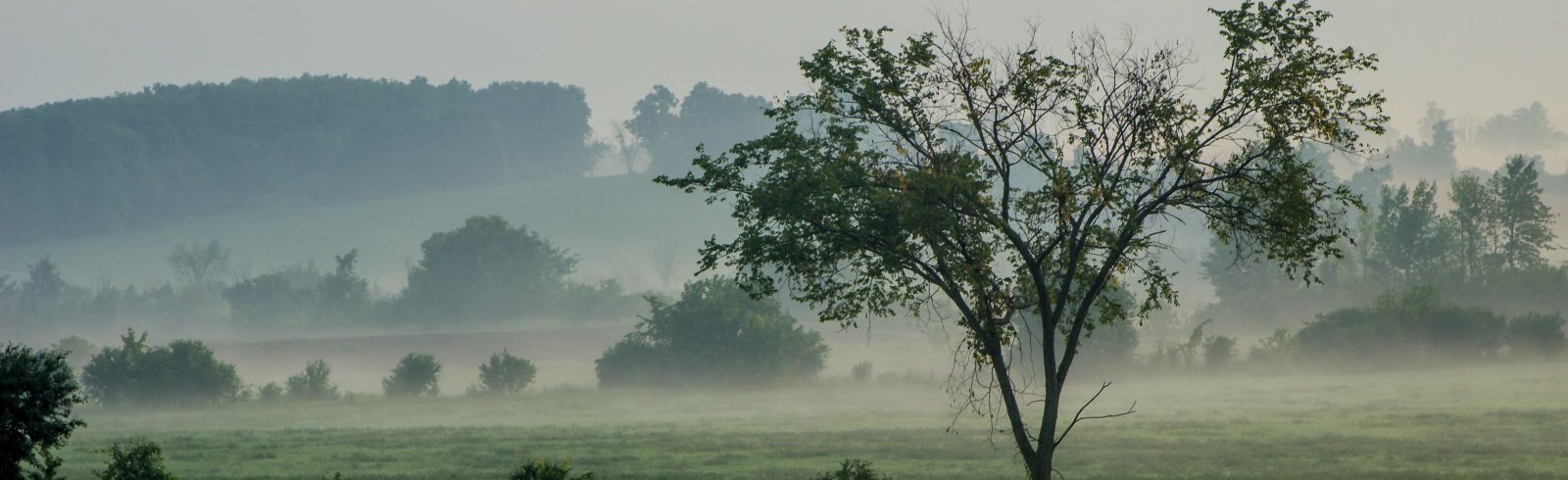 Township field