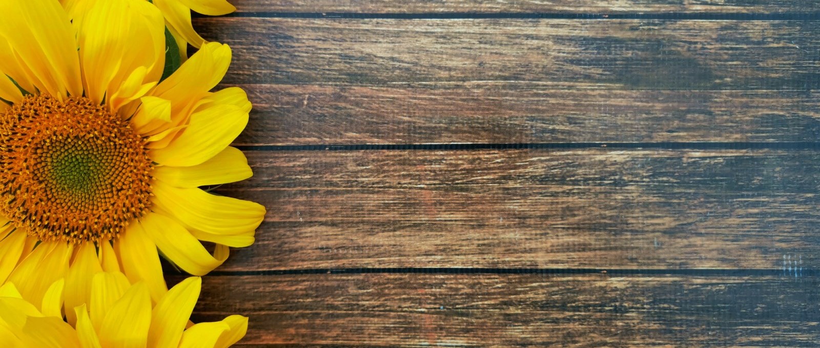 Sunflowers on a wood board
