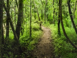 Millbrook Valley Trails Photo